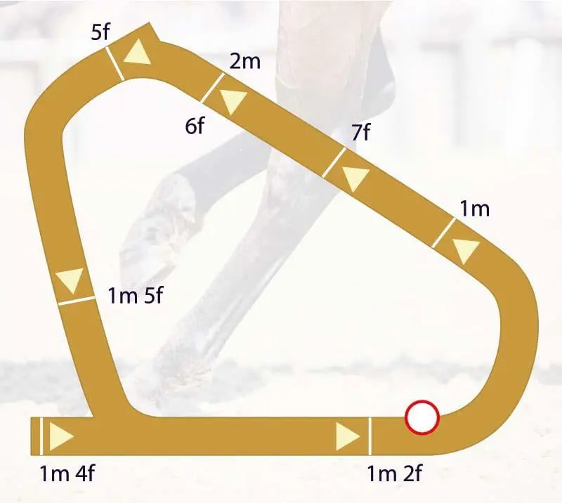 Lingfield Park All Weather Track