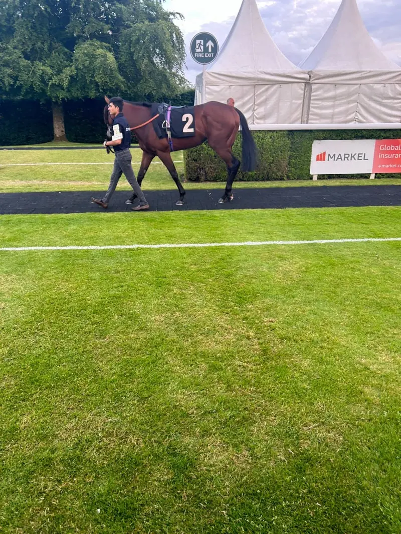 Parade Ring