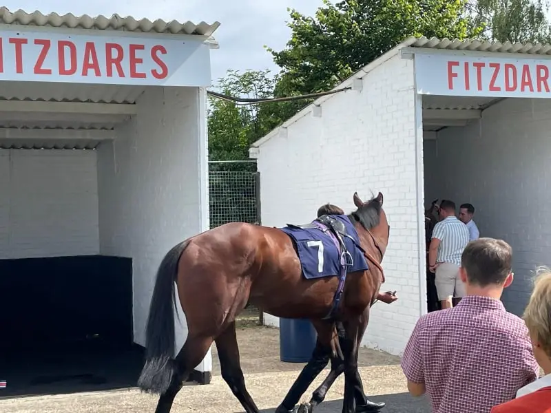 Windsor Racecourse 29th june 2024