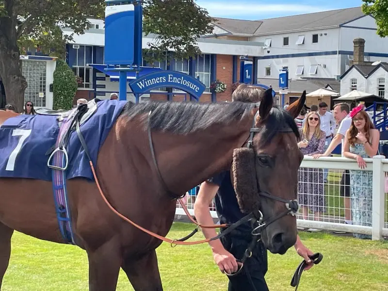 Windsor Racecourse