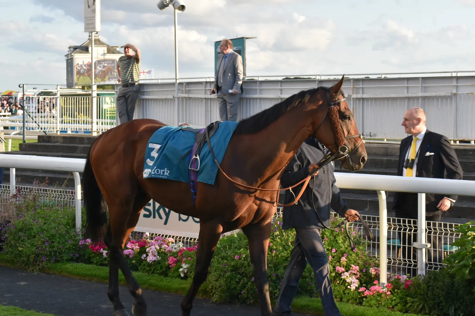 The Coffee Pod in the parade ring