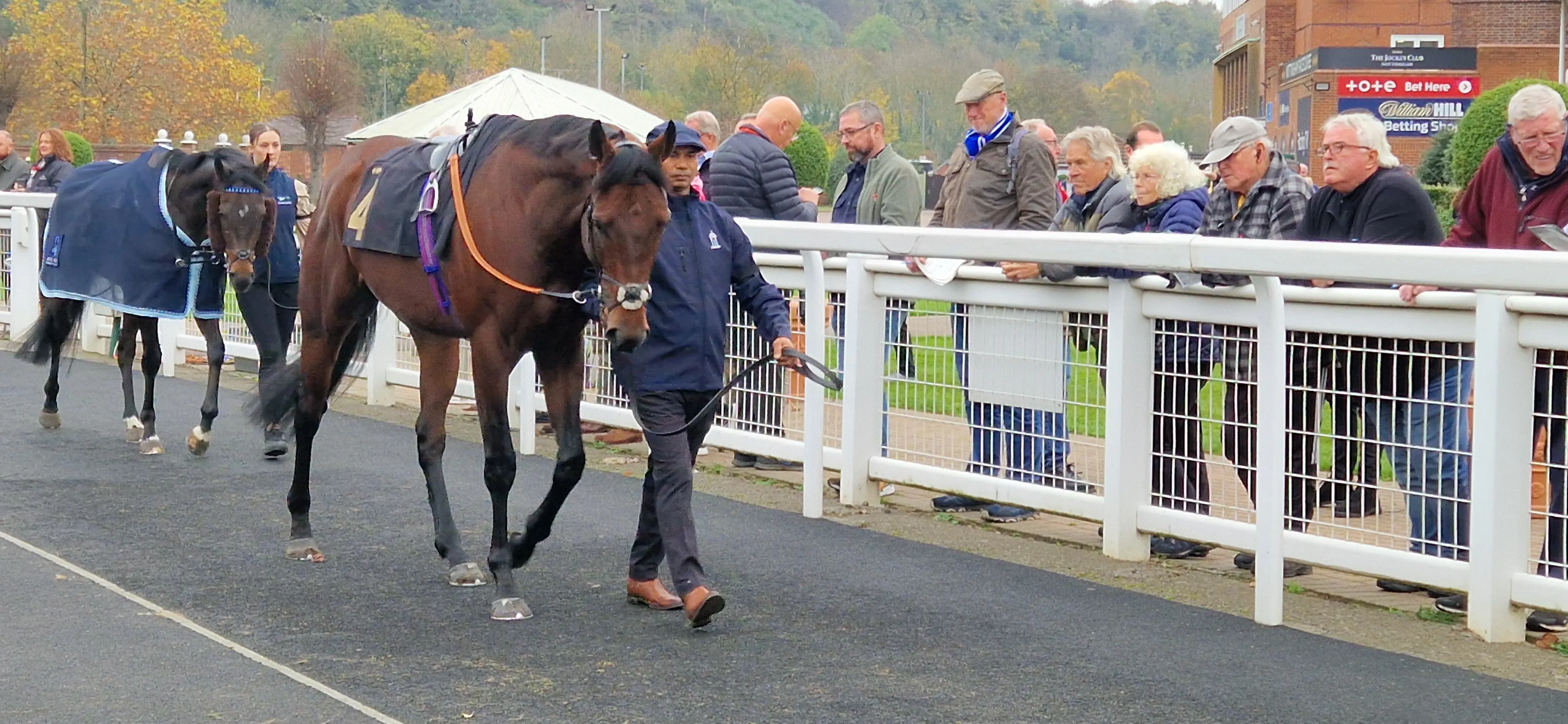 Parade Ring