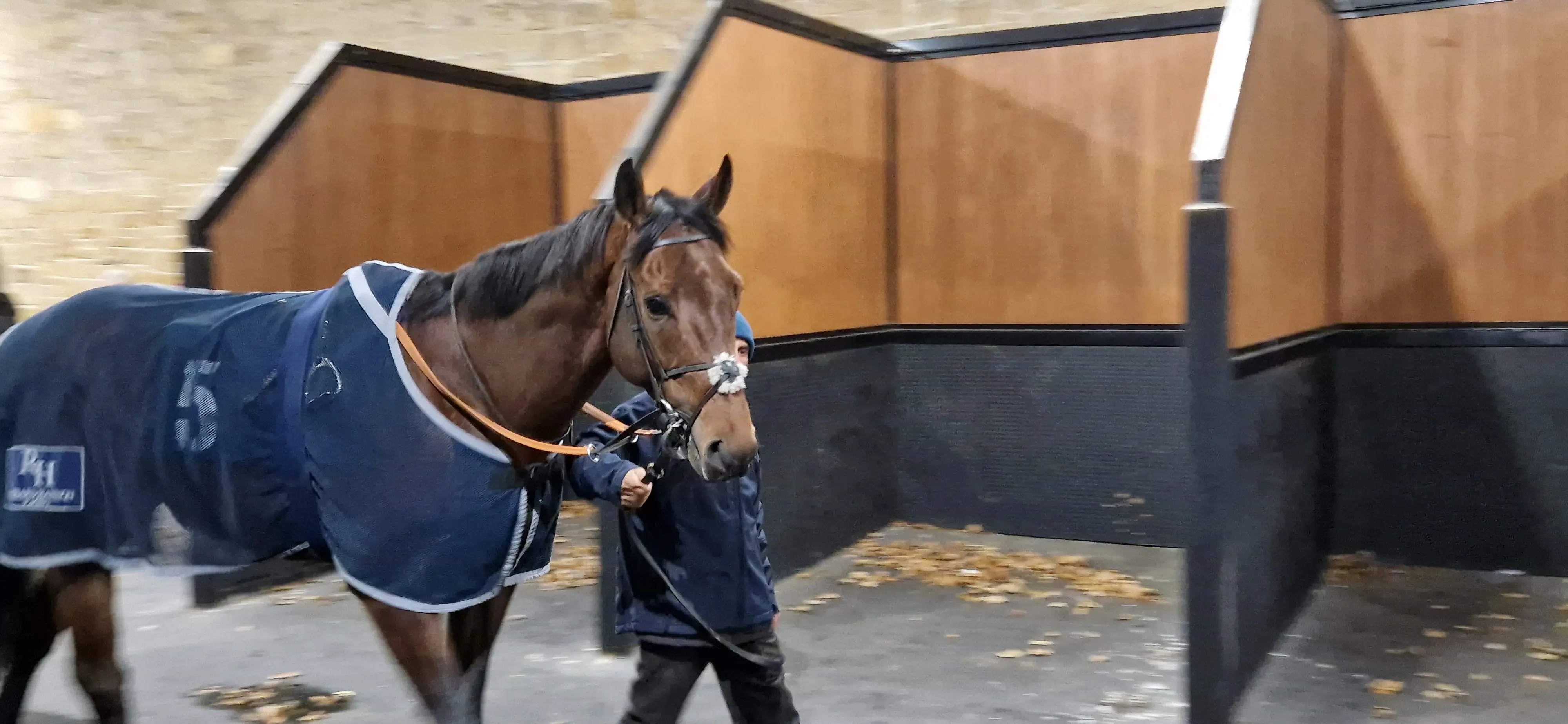 Parade Ring