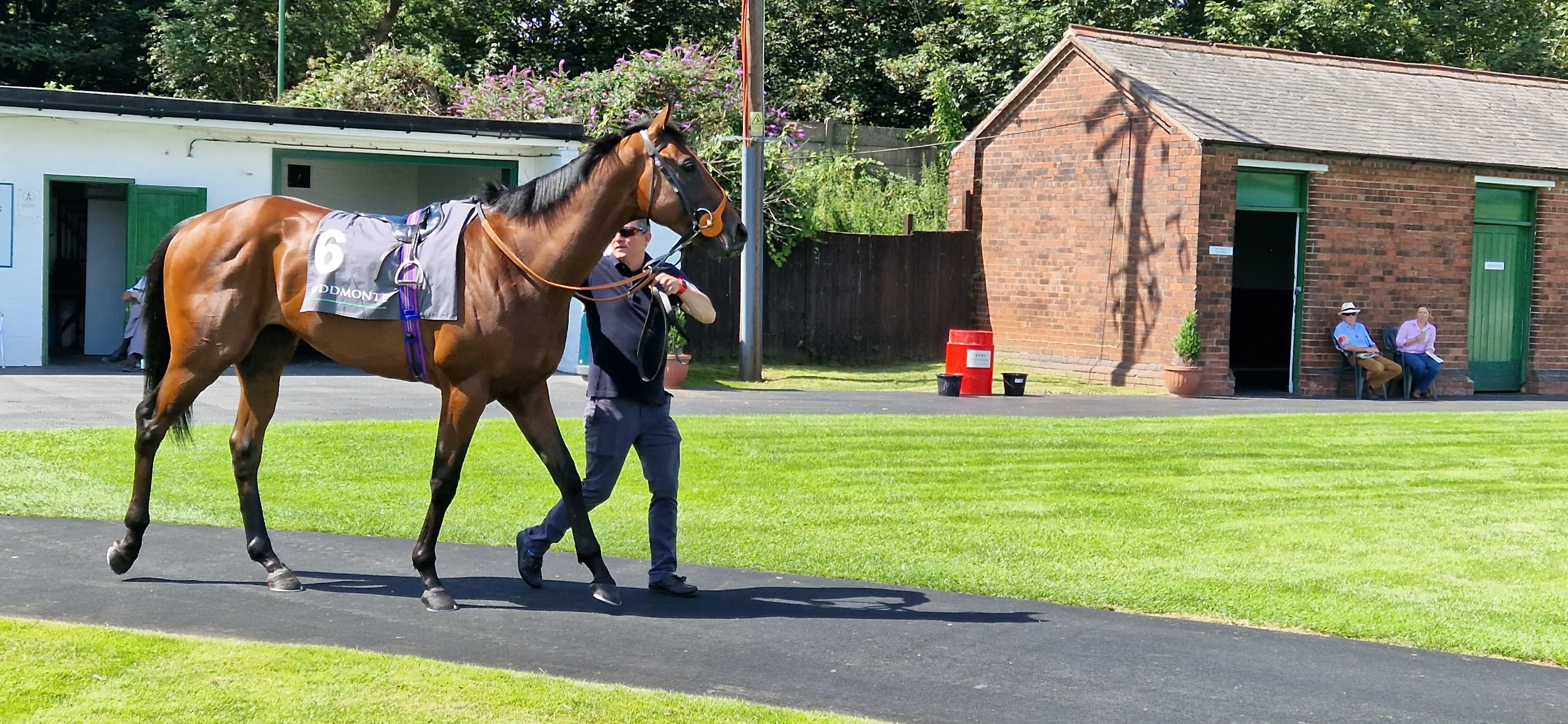 Pre Parade Ring