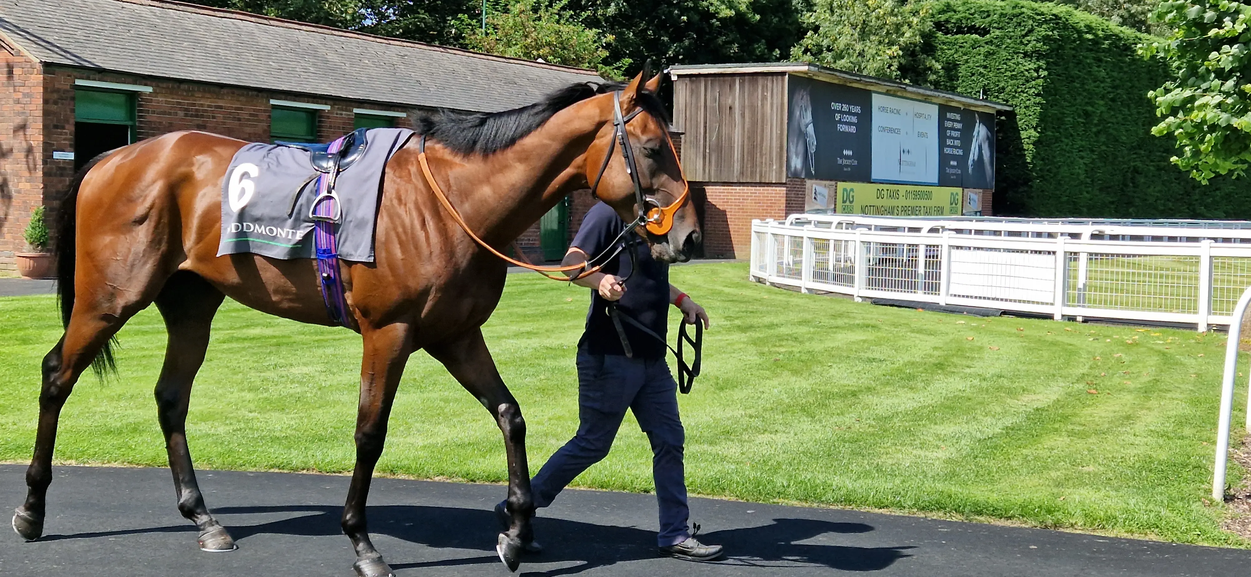 Parade Ring Ripon