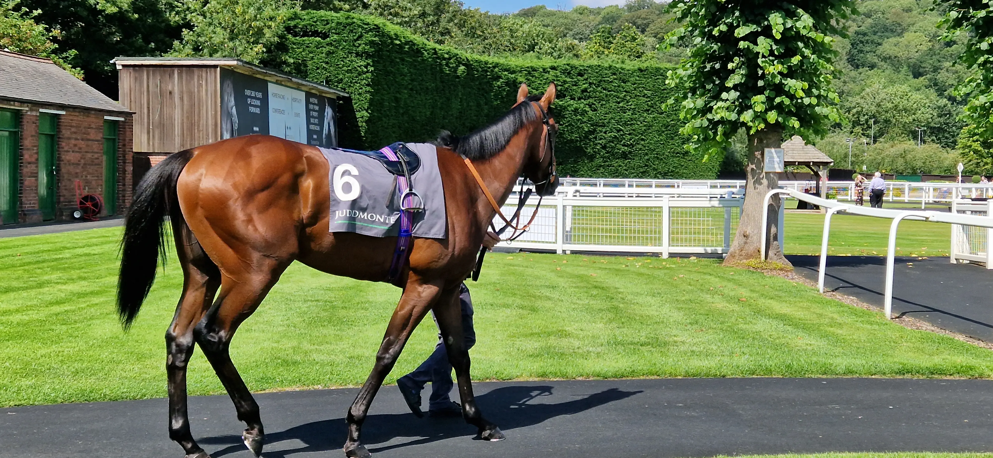 Pre Parade Ring