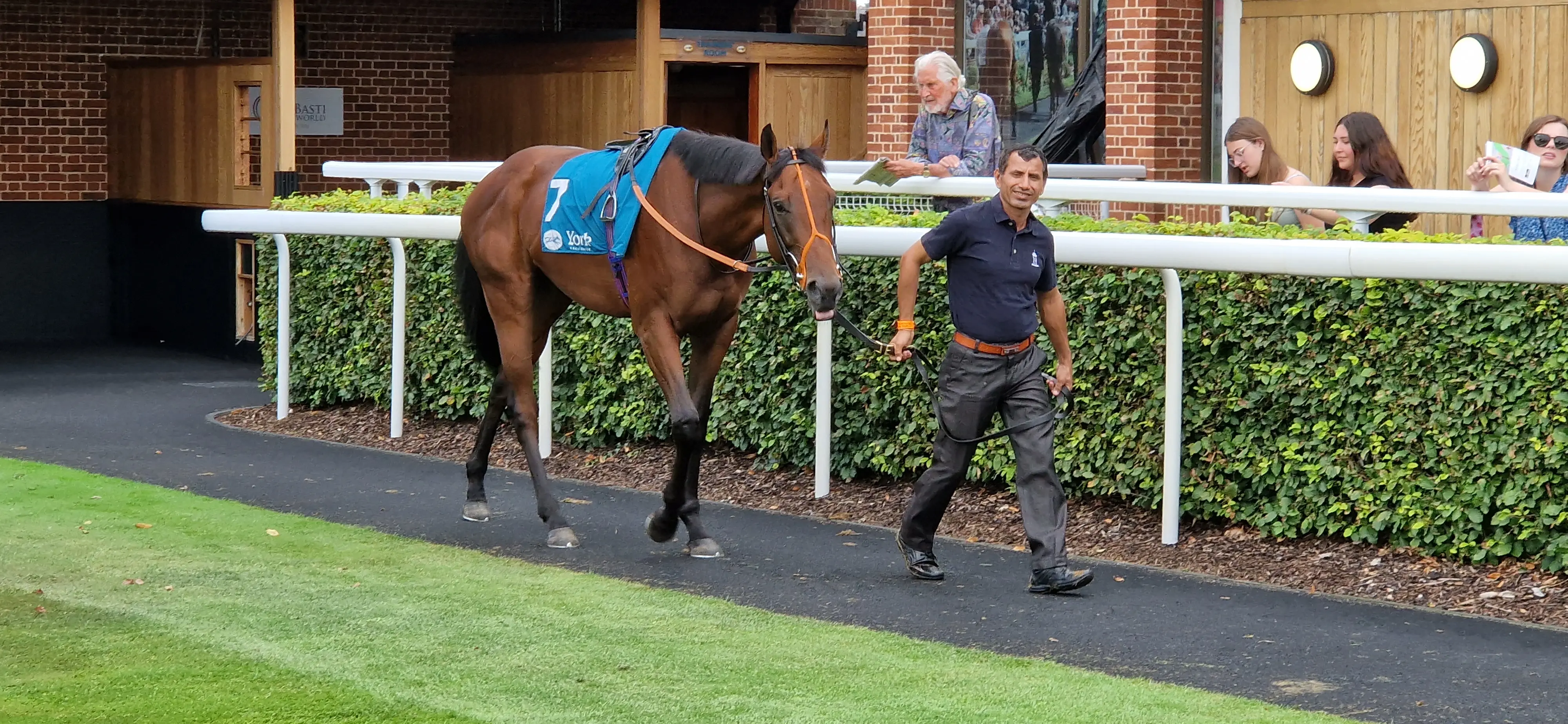 Parade Ring The Coffee Pod