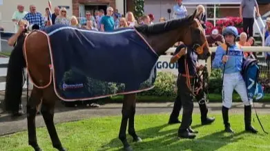 Winners Enclosure York racecourse - The Coffee Pod