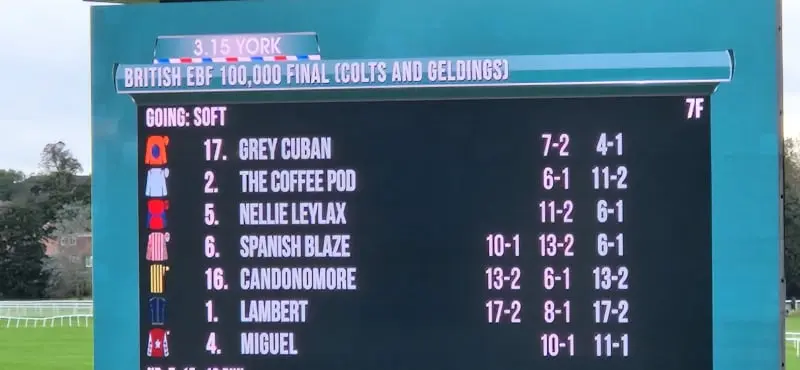 Betting List The Coffee Pod 2nd Favorite 