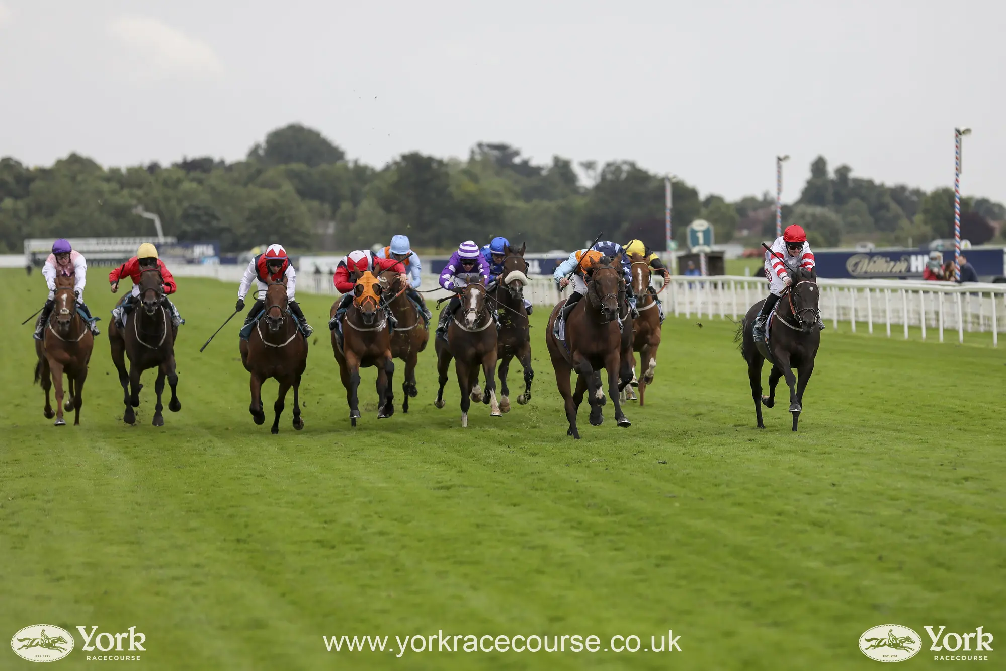 York Race