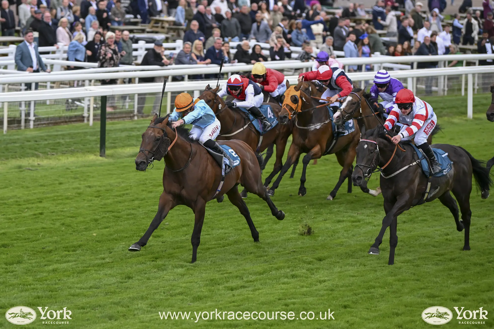 York race