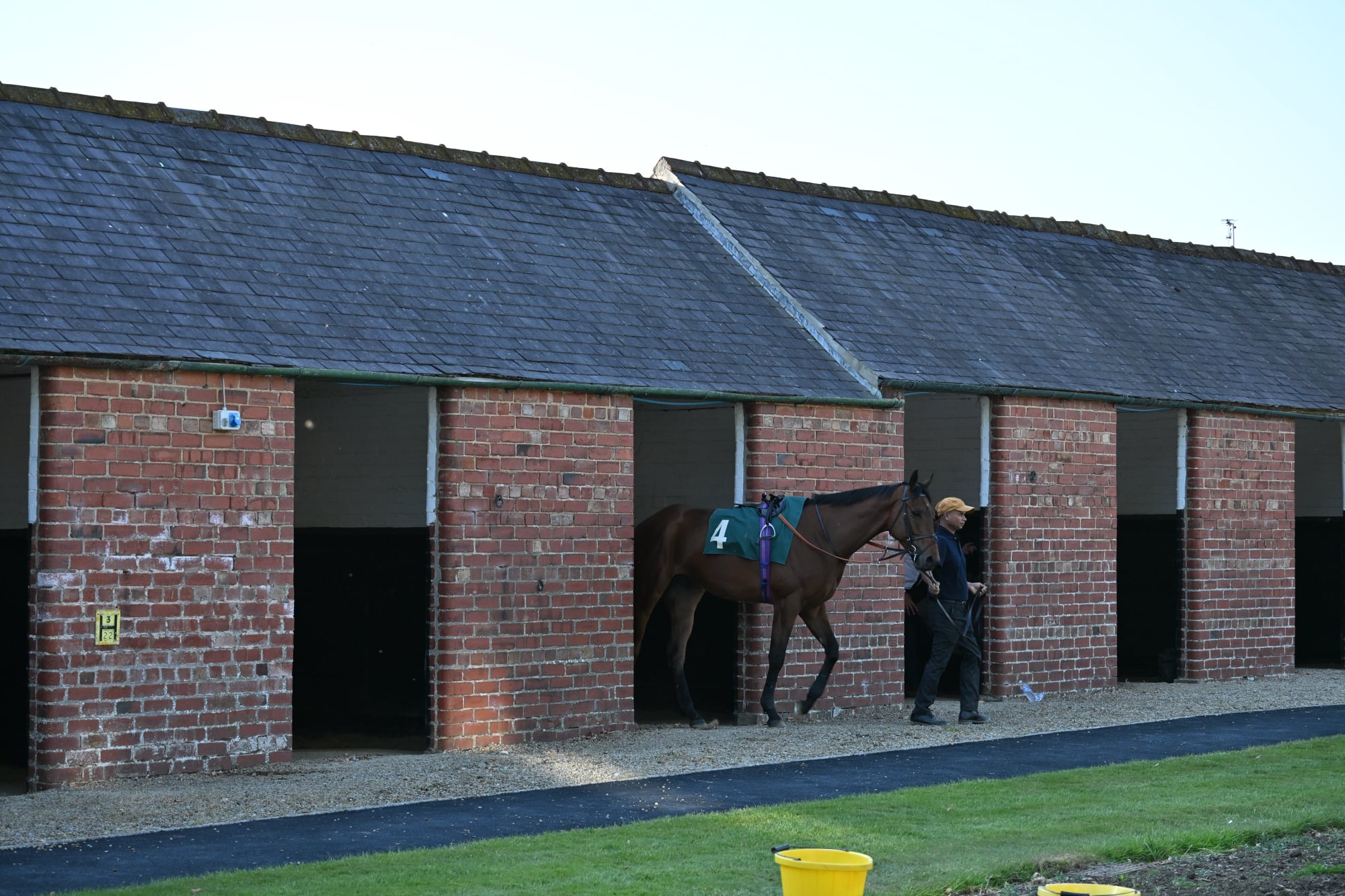 Pre Parade Ring