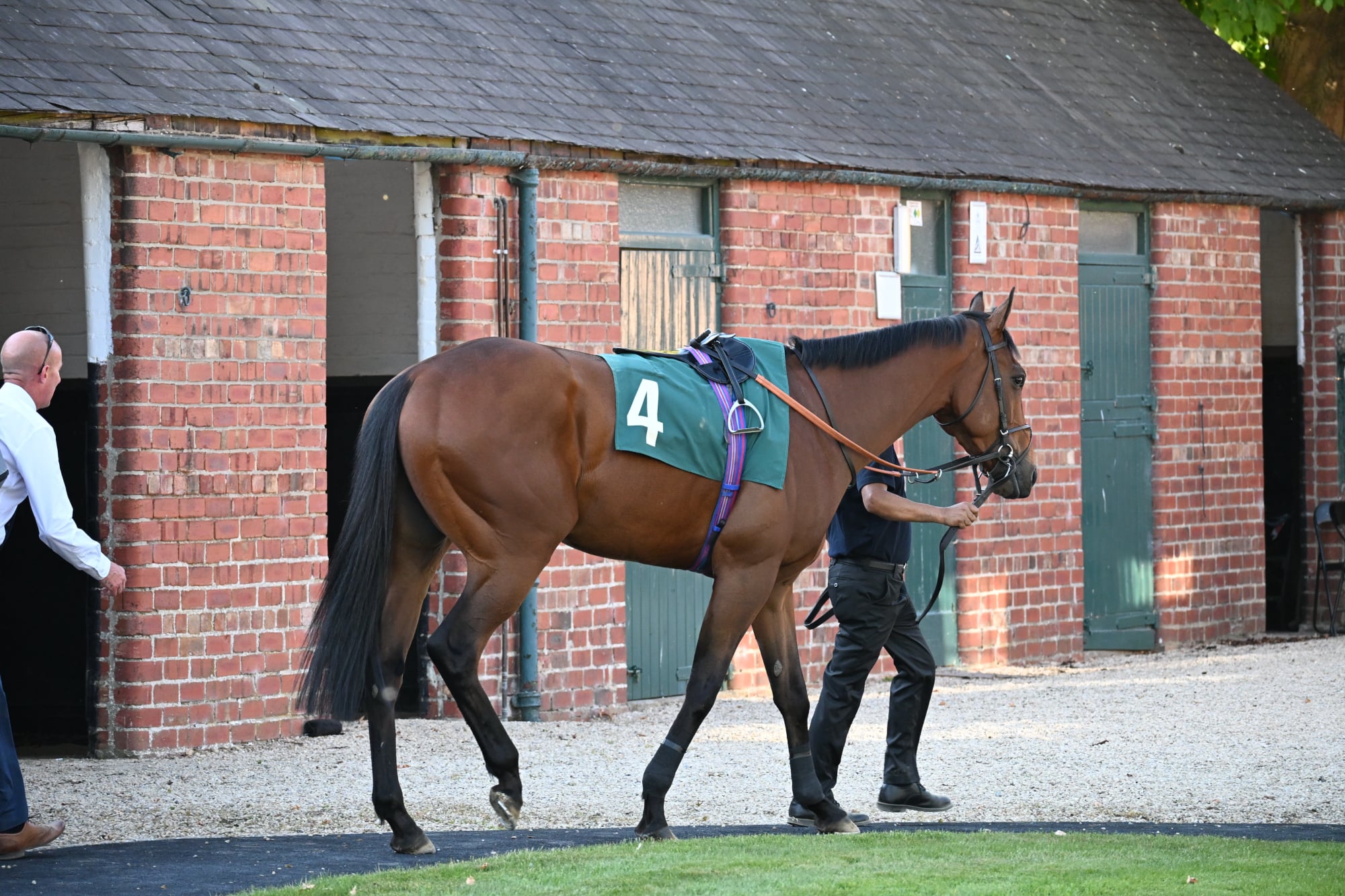 Pre Parade Ring