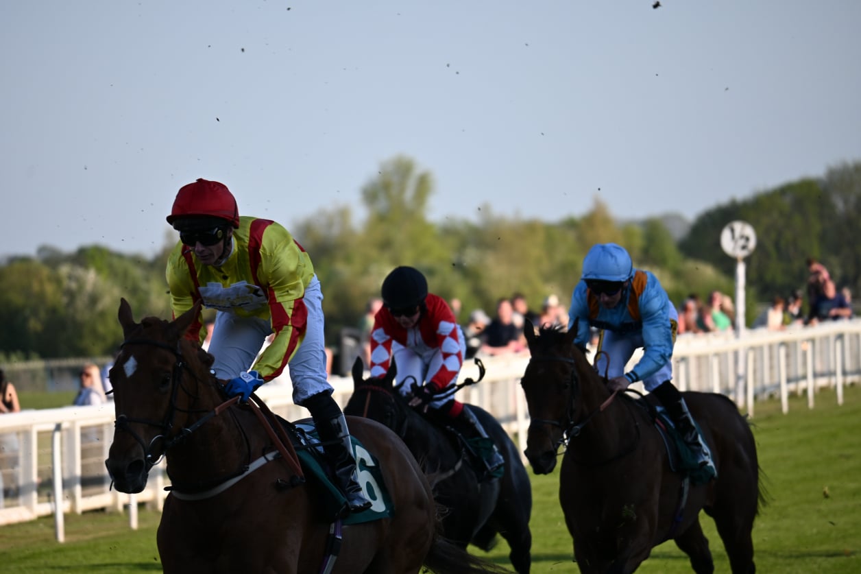 Ripon Finish Line