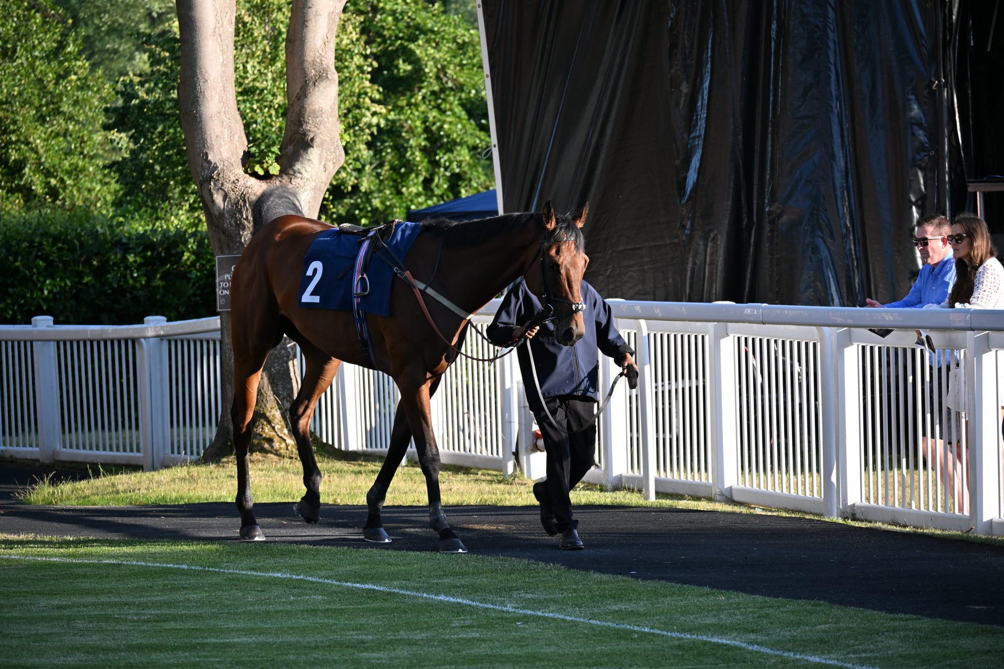 Pre Parade Ring
