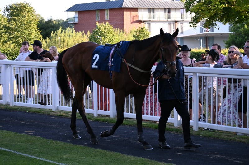 Pre Parade Ring