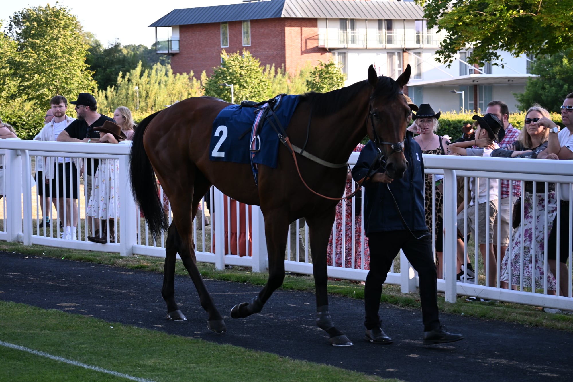 Pre Parade Ring