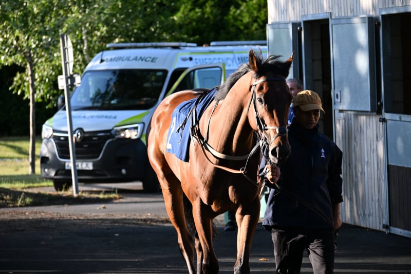 Pre Parade Ring