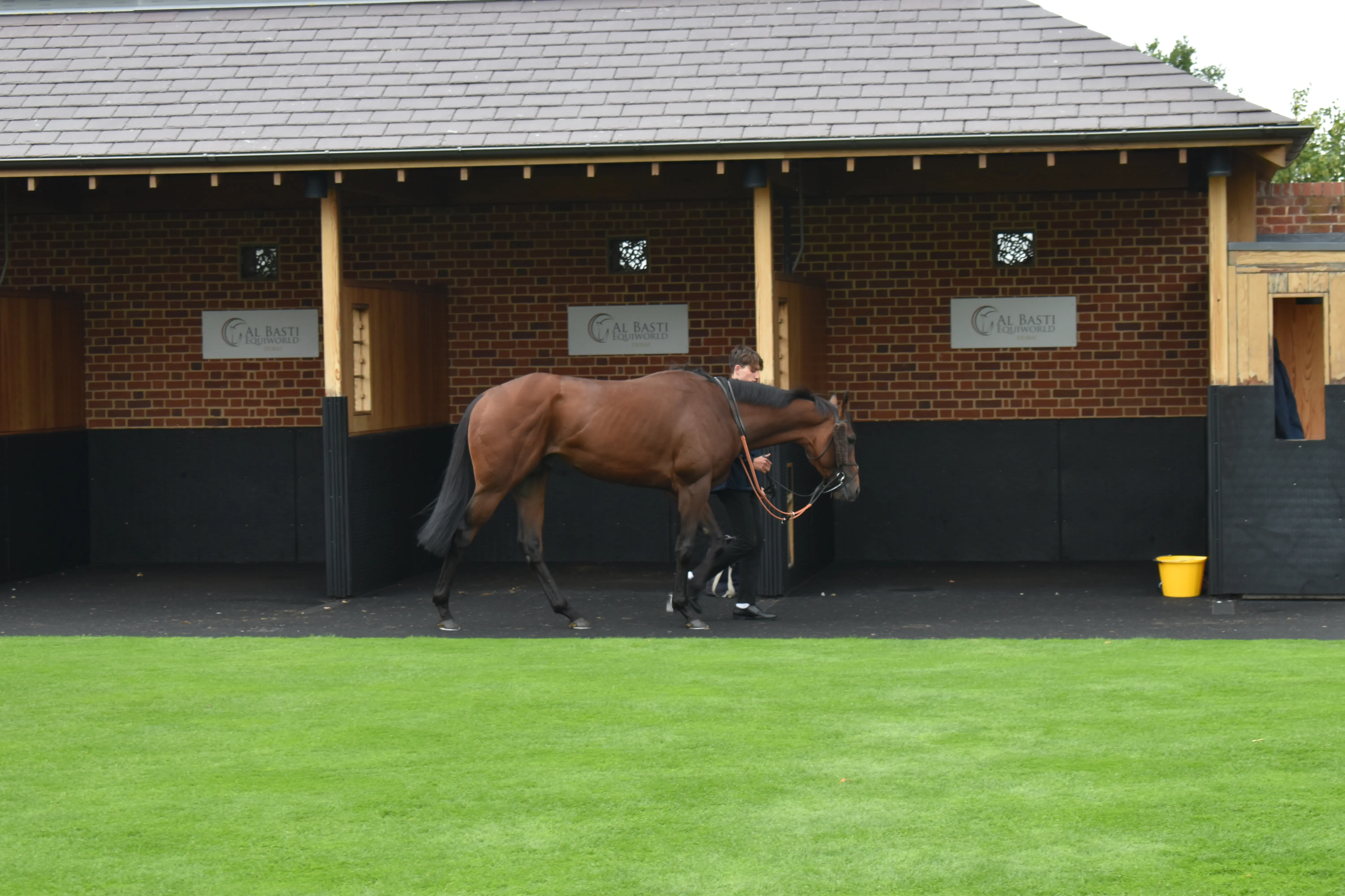 parade ring