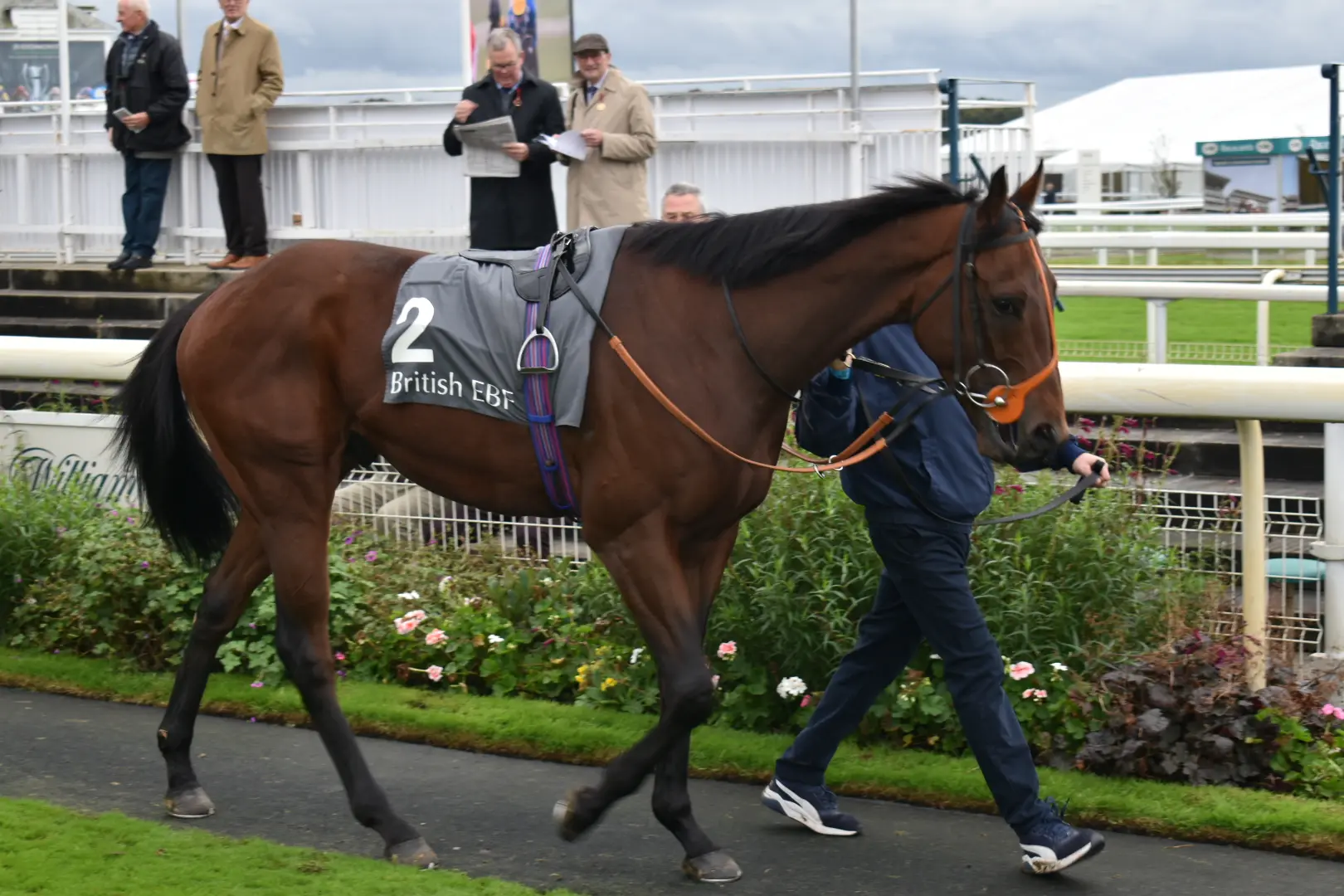 The Coffee Pod in the Parade Ring