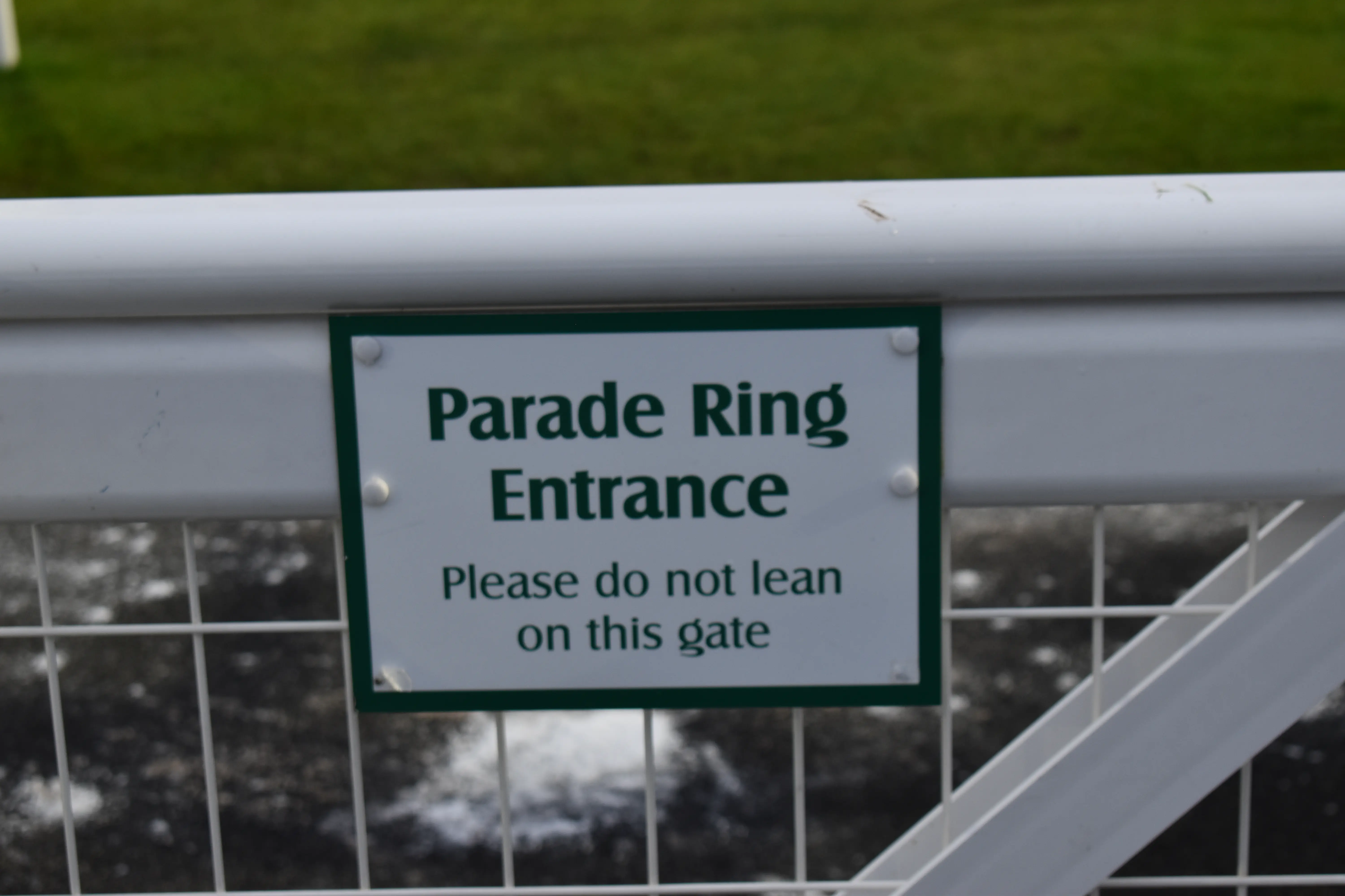 Parade Ring