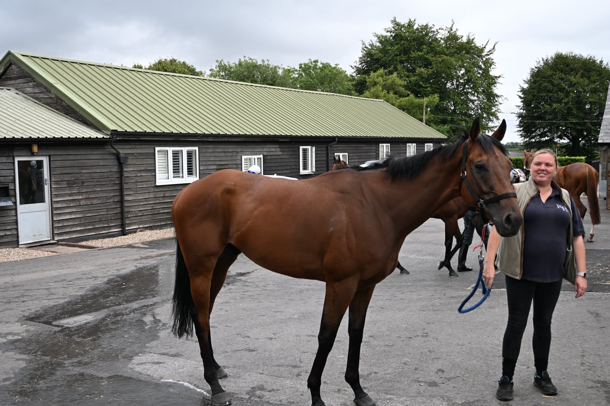 The Coffee Pod horse at Richard Hannon's 
