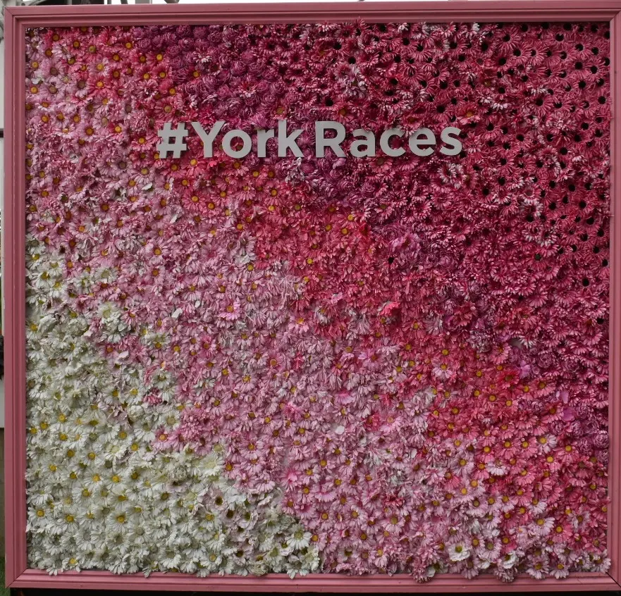 York Racecourse 13th October 2023