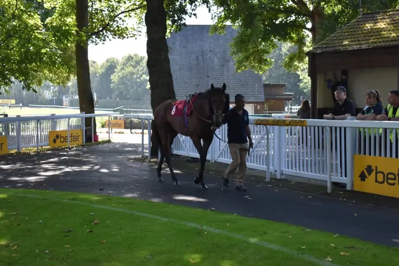 Parade Ring