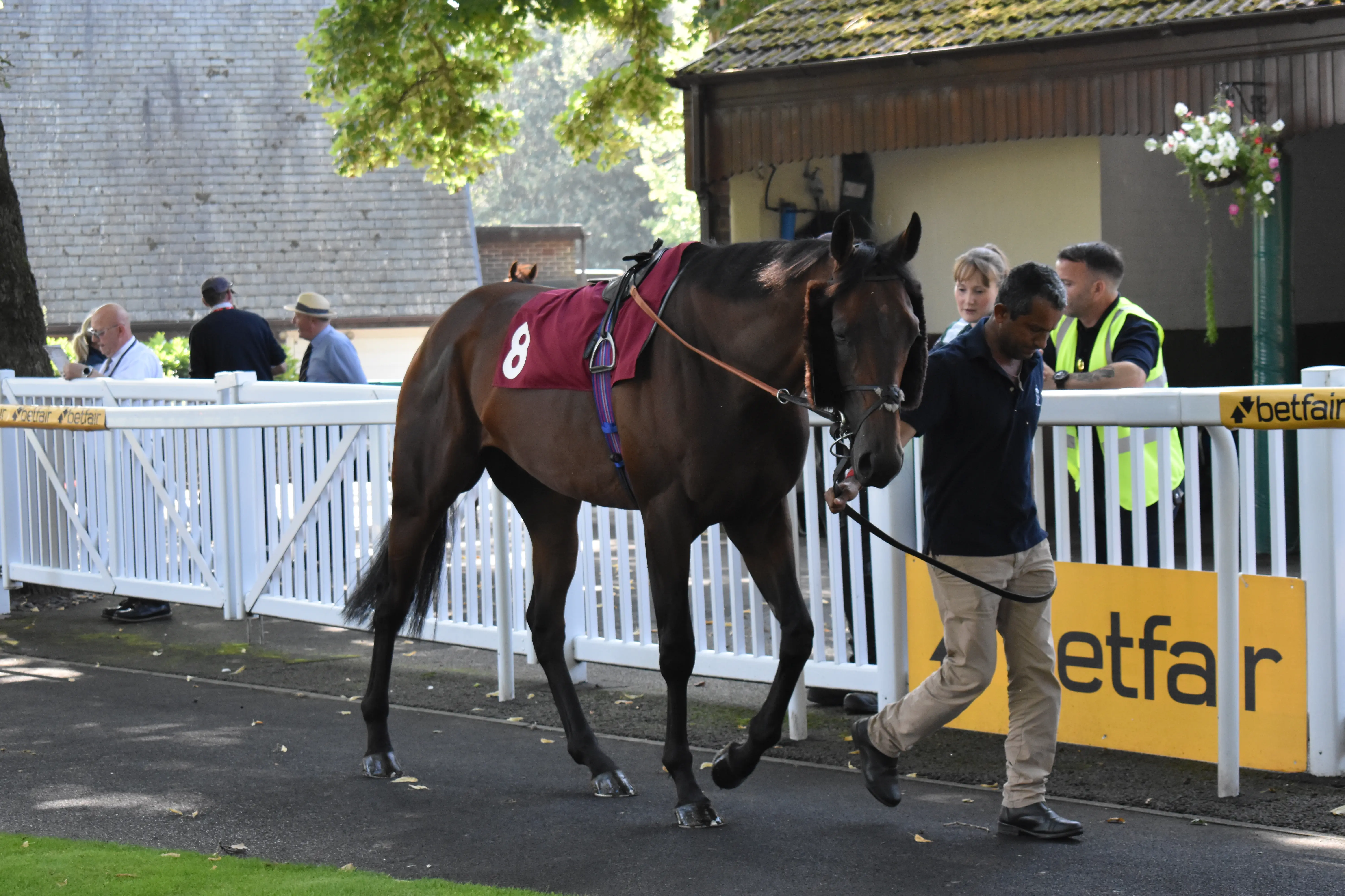 Parade Ring