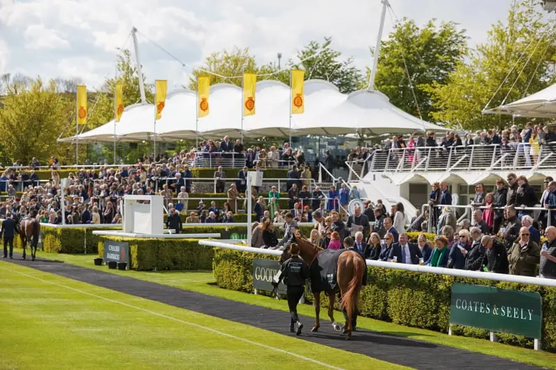 Parade Ring Goodwood