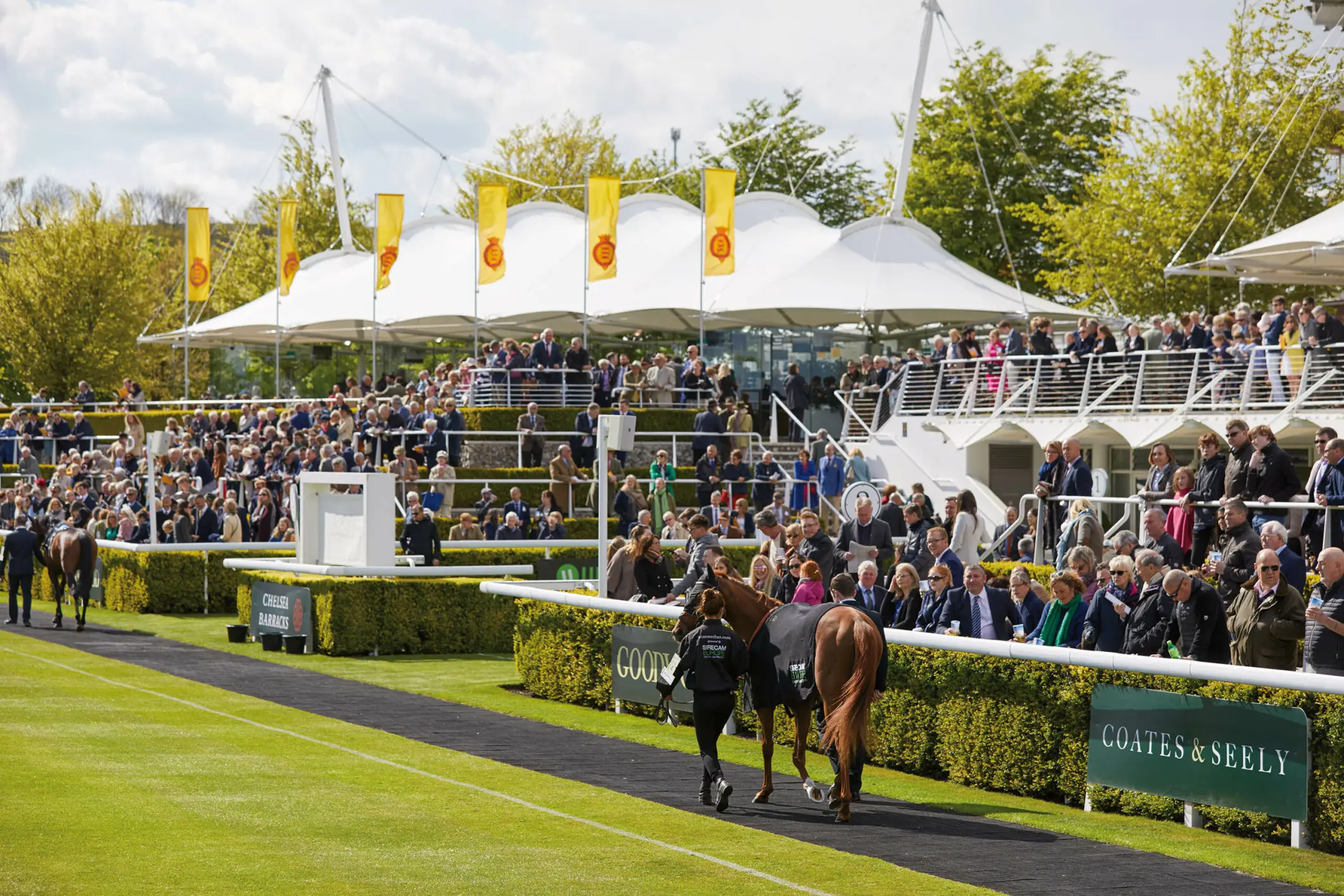 Parade Ring Goodwood