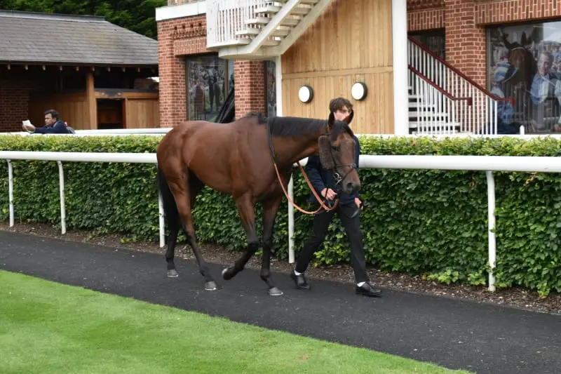 parade ring