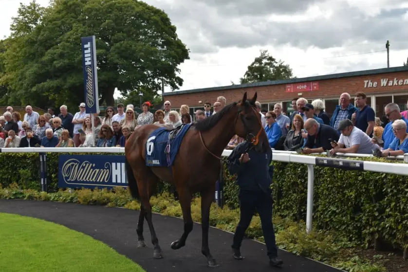 Parade Ring Ripon