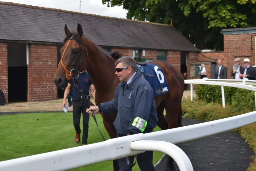 Pre Parade Ring