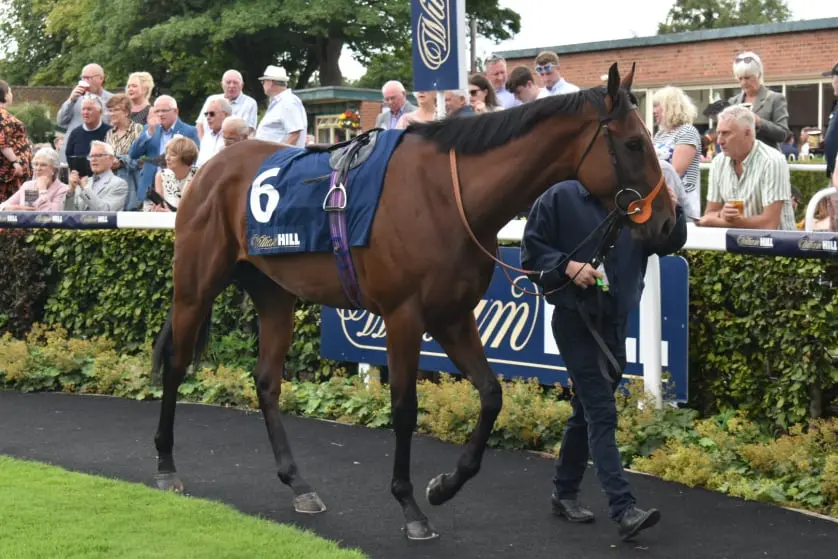 The Coffee Pod Parade Ring