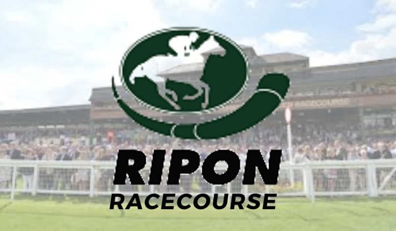 Ripon Races