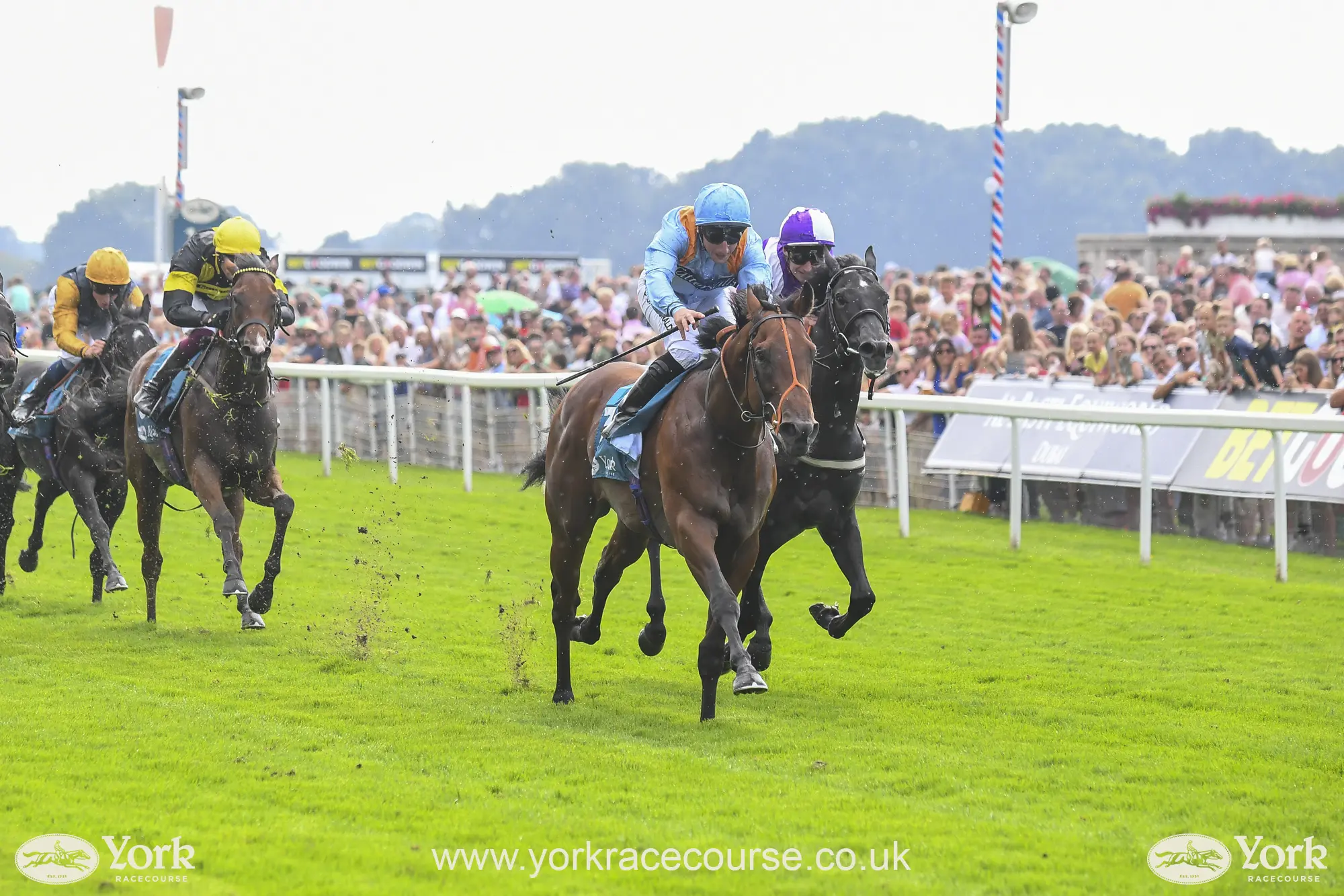 Last Race 3rd Race At York 