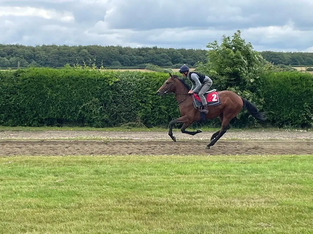 The Coffee Pod cantering 